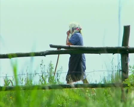 Grandmother, Stock Footage 12652554