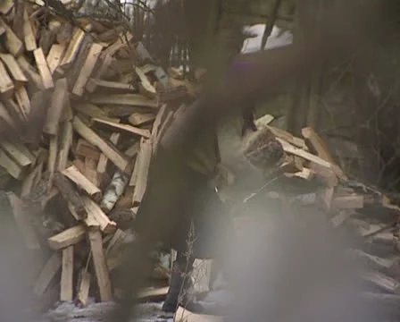 Grandmother Stock Footage 22480909