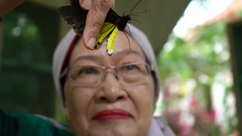 Grandmother Stock Footage 287311963