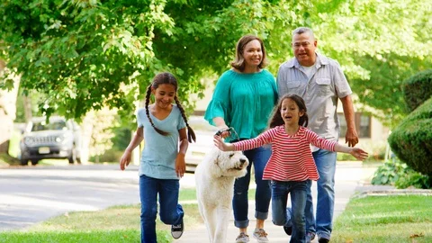 Grandparents And Granddaughters Walking Dog Along Street Stock Footage