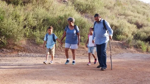 Grandparents With Grandchildren Wearing Backpacks Hiking In Countryside Together Stock Footage