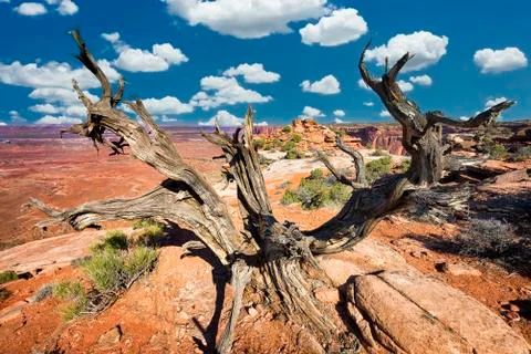 Grandview Point Stock Photos