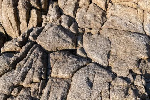 Granit stone with lichen, background
 Foto stock