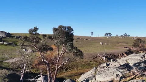 Granite Boulders and Eucalyptus Trees in Rural Australian Outback Landscape Stock Footage 340863574