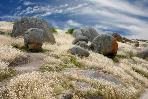 Granite Boulders on a Hillside Stock Photos