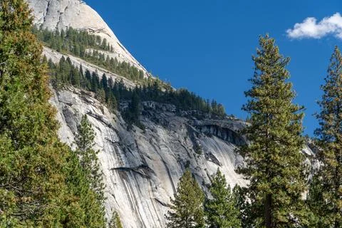 Granite cliff face with pine trees and blue sky. Stock Photos