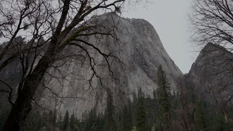 Granite cliff framed by bare oak branches in Yosemite Valley Stock-Footage 347987239