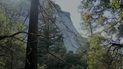 Granite cliff seen through trees Yosemite Stock-Footage 347986365