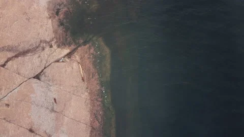 Granite coastline. Drone view Top view Stock Footage 220003140
