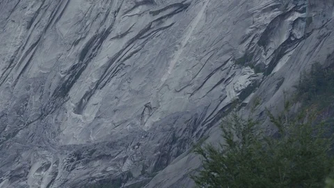 Granite Face Background Texture With Slow Motion Foreground Trees Vidéo 70452034