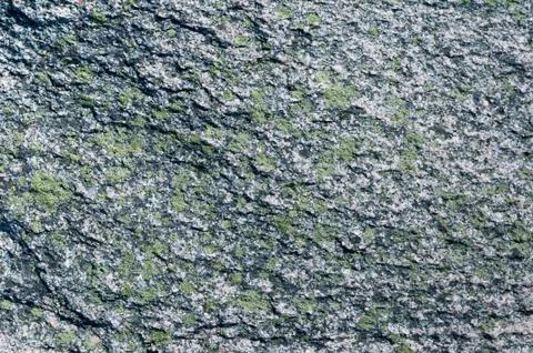Granite with green moos Stock Photos