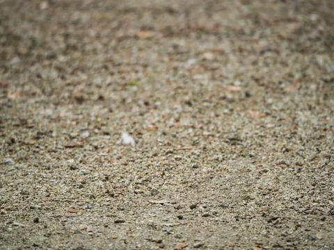 Granite ground with tiny pebbles and scattered leaves Stockfoto's