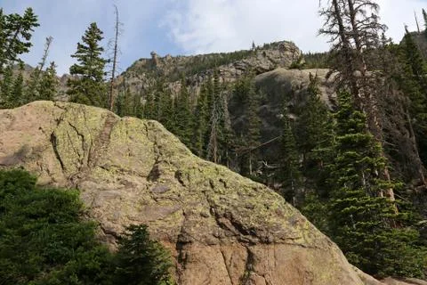 Granite Moss Stock Photos