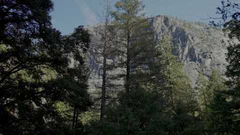 Granite mountain behind pine trees Yosemite Stock Footage 347986378