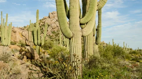 Granite Mountain Stock Footage 40979247
