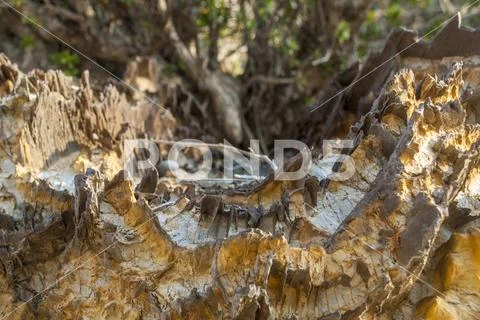 Granite on the mountains that erode naturally Stock Photos