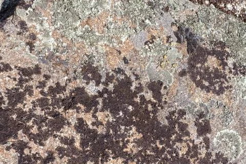 Granite rock with moss background. Background of stone surface. Textured proc Stock Photos