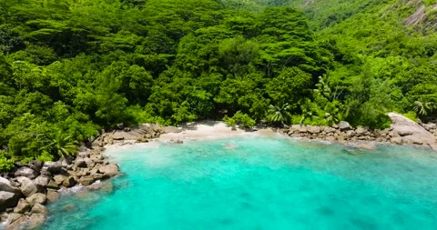 Granite rocks and tropical forest by the beach. Seychelles, Mahe. 스톡 동영상 345383738