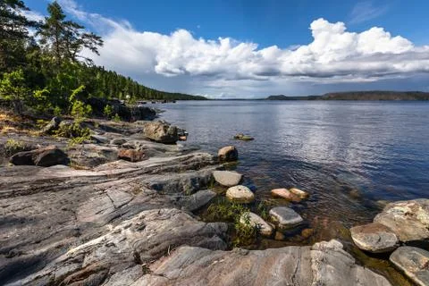 Granite rocky coast and pine tree forest. Stock Photos