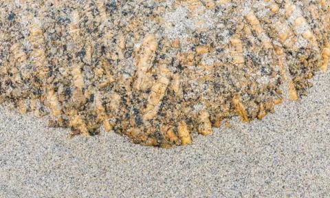 Granite Stone on Beach Stock Photos