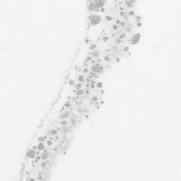 Granite stone pattern useful as background or texture, natural black white gray Stock Photos