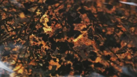 Granite Stone Texture Under Clear Water Surface. Macro Abstract Background 库存影片 334099874