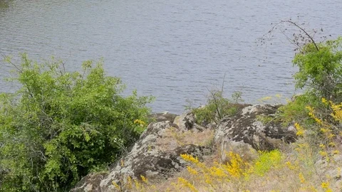 Granite Stones on The Background of The River Video stock 126909726
