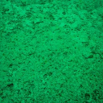 Granite texture, green granite surface for background, material for decorativ Stock Photos