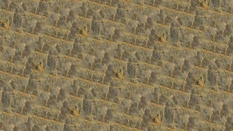 Granite Texture - Marble Layers Design gold Stone Slab Surface Stock Footage 262613397