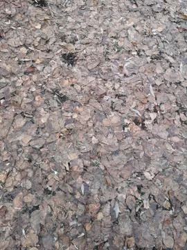 Granite texture - marble layers design gray stone slab surface rock Stock Photos