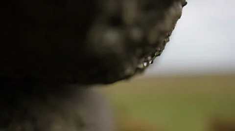 Granite - Water drips 2 動画素材 38646653
