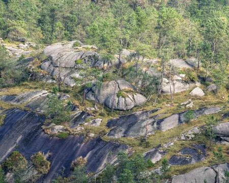 Granitic Rocks between Pine Forests Stock Photos