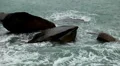 Granitic Rocks, Big Waves, Tropical Paradise Island, Ko Samui, Amazing Thailand HD Footage