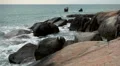 Granitic Rocks, Big Waves, Tropical Paradise Island, Ko Samui, Amazing Thailand HD Footage