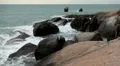 Granitic Rocks, Big Waves, Tropical Paradise Island, Ko Samui, Amazing Thailand HD Footage