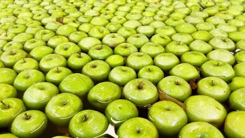 Granny Smith apples floating and moving in water tank for initial rinsing Stock Footage 306622197