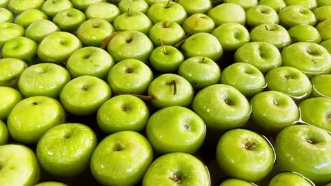 Granny Smith apples floating and moving in water tank for initial rinsing Video stock 306622198