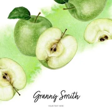 Granny Smith green apple diagonal border composition watercolor hand drawn Stock Illustration
