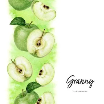 Granny Smith green apple vertical border composition watercolor hand drawn Stock Illustration