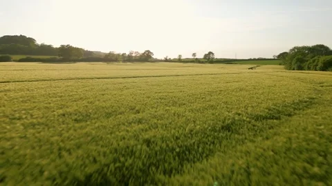 Grantham Canal, England Stock Footage 249934653