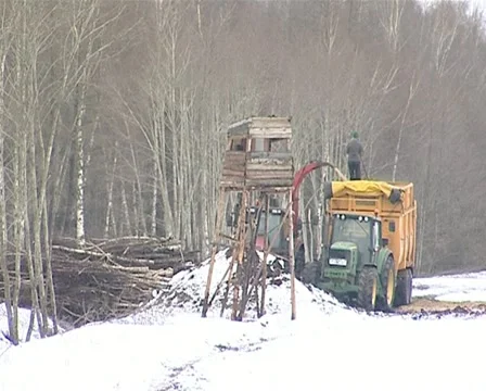 Granulated chips fall Stock Footage 10905585