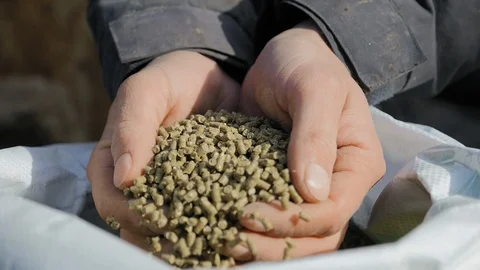 Granulated feed in the hands of a farmer close-up Stock Footage 103480806
