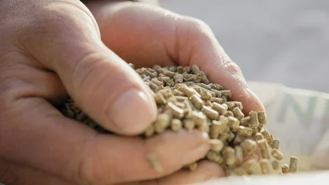 Granulated feed in the hands of a farmer Vidéo 129322791