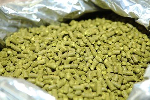 Granulated hops in the hands of a man. Substrate for the production of beer.  Stock Photos