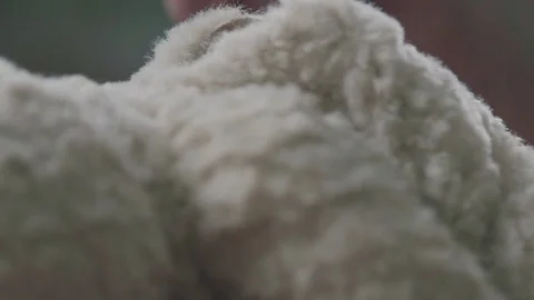 Granules - small transparent balls for stuffing soft toys anti-stress Video stock 75485189