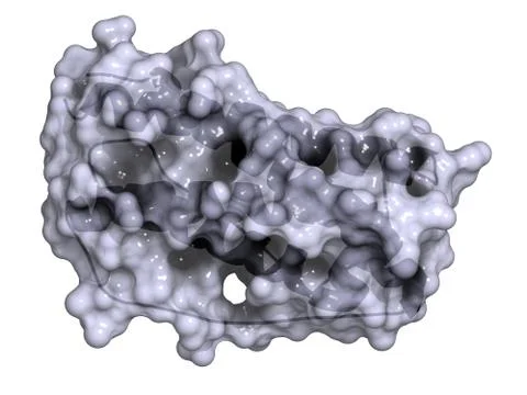 Granulocyte colony-stimulating factor (gcsf, filgrastim) molecule. used to tr Stock Illustration