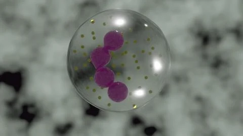 Granulocyte Illustrazione stock
