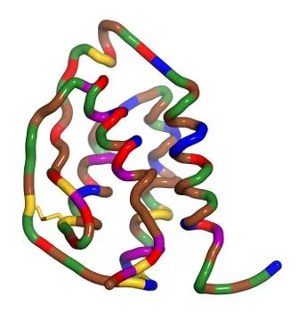 Granulocyte-macrophage colony-stimulating factor (gm-csf, molgramostim, sargr Stock Illustration