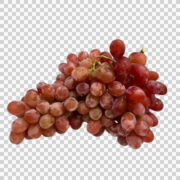 Grape-1 Stock Photos