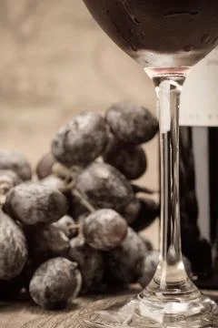 Grape and wine Stock Photos